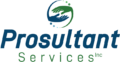 ProSultant Services Inc